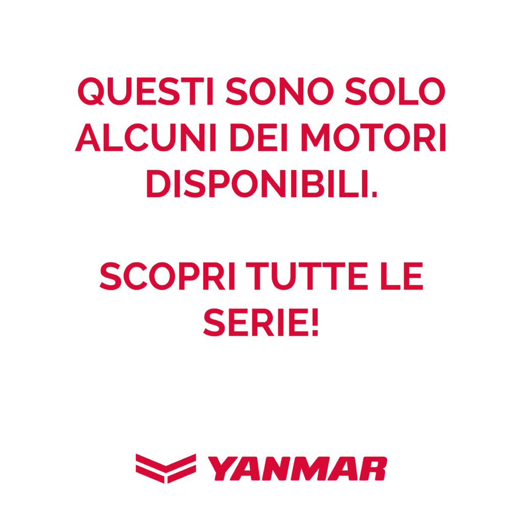 Landing Yanmar Immagine 2
